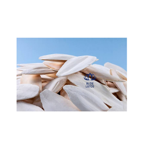 Meilleures ventes : Complément alimentaire minéral de haute qualité à base d'os de seiche, riche en calcium, à absorption rapide pour oiseaux (en vrac) - Product Image 3