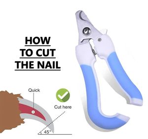 Cortauñas Profesional para Mascotas, Afilado, de Acero Inoxidable, Variedad de Instrumentos Veterinarios Disponibles - Product Image 6