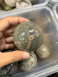 Esfera de Jaspe Turritella Gris Natural, Bola de Piedra Fósil Pulida para Decoración del Hogar, Colección de Cristales y Recuerdo, 3–5 cm - Product Image 6