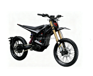 Nouvelle Moto Électrique Tout-Terrain Arctic Leopard XE PRO S L1E 2026 avec Homologation COC, 74V55Ah 74V 60AH, avec Fourches Noires/Dorées - Product Image 3