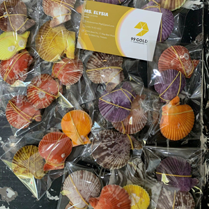 เปลือกหอยสีสันสดใส ทำความสะอาดแล้ว ของตกแต่งจากเปลือกหอยธรรมชาติ โรงงานเวียดนาม ขายส่งจำนวนมาก อุปกรณ์งานฝีมือ - Product Image 1