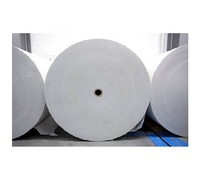 Papiers cartonnés duplex recyclables gris écologiques et biodégradables Worldwave International India Exporter, 180-350 g/m², simple face