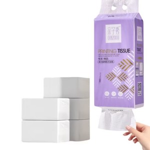 Papier hygiénique mural recyclé de qualité supérieure, 3 plis, pour hôtels, haute qualité, EcoTurtles Exploration du Gujarat - Product Image 1