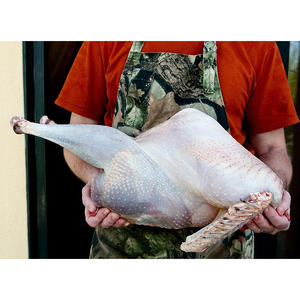 ไก่งวงแช่แข็งคุณภาพส่งออก ไก่งวงทั้งตัว มีจำหน่ายจำนวนมากในราคาที่แข่งขันได้ - Product Image 1