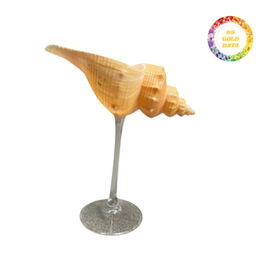 Superior Seashell Glass Drinking Vessel For Luxury Tropical Resorts And Professional Event Supply Bulk Sale - Product Image 4