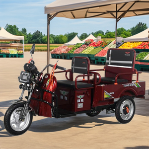 Véhicule électrique à trois roues pour adultes avec <span class=keywords><strong>remorque</strong></span> de grande capacité de chargement <span class=keywords><strong>Scooter</strong></span> électrique à 3 roues du fabricant - Product Image 3