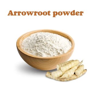 PREMIUM ARROWROOT POWDER VIETNAM – PURE NATURAL <b>STARCH</b> FOR FOOD INDUSTRY EXPORT - Product Image 3