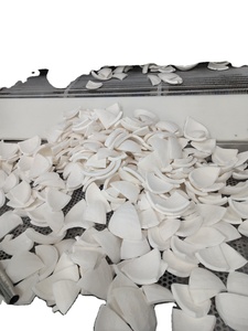 Venta al por mayor de carne de coco congelada de alta calidad para batidos con precio competitivo hecho en Vietnam - Product Image 5