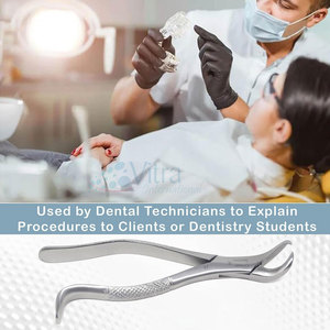 Nouvel arrivage : Forceps d'extraction dentaire manuels en acier inoxydable, certifiés CE, réutilisables, légers, haute qualité, très demandés - Product Image 6