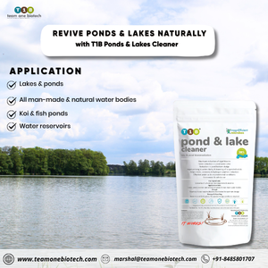 Bacterias Beneficiosas para la Limpieza de Estanques, Limpiador de Estanques y Lagos T1B - Product Image 5