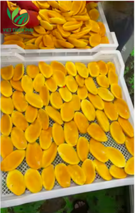 Mangues vietnamiennes surgelées IQF, 100% mangues fraîches biologiques, emballage en vrac, prix bas - Product Image 2