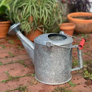 Regadera clásica de metal para plantas de interior y exterior, con pico largo, flujo suave, mango ergonómico y resistente al óxido. - Product Image 4