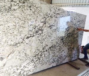 Losas grandes pulidas de GRANITO BLANCO DE Alaska de estilo de diseño moderno - Product Image 1