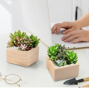 Boîte en bois carrée, boîte de rangement rustique pour l'artisanat DIY, les objets de collection, les plantes succulentes, la décoration de tiroir de bureau - Product Image 4