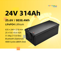 Baterai Lithium 24V 314Ah 100Ah 280Ah 12.8v 200Ah 12V 280Ah untuk Penyimpanan Energi ESS