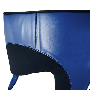 Protège-entrejambe élastique en plastique de haute qualité pour MMA, boxe, taekwondo et arts martiaux - Product Image 6