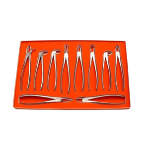 Nouveauté : Ensemble de 10 instruments chirurgicaux ergonomiques en acier inoxydable pour extraction dentaire - Product Image 3