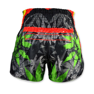 Pantalones Cortos Deportivos de Muay Thai Personalizados, Marca Personalizada, Ropa de Lucha Profesional, Proveedor Mayorista de Ropa Deportiva OEM, 100% - Product Image 6
