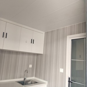 Hot Selling Expandable Modular House Wind Resistance Expandable Container House Plus Free Shipping - Product Image 3