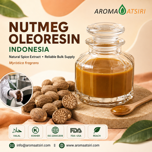 Oleorésine de Muscade Aromatique Atsiri d'Indonésie 100% Pure, Extrait Naturel de CO2 pour l'Assaisonnement - Product Image 1