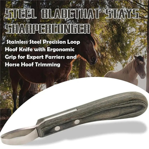Couteau à sabots à manche en bois, lame double tranchante en acier inoxydable, multi-usage pour l'entretien des pieds de cheval - Product Image 6