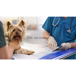 Juego de herramientas manuales de acero inoxidable para limpieza dental: raspador de sarro, pinzas dentales, espejo bucal, kit quirúrgico dental para consultorio. - Product Image 6