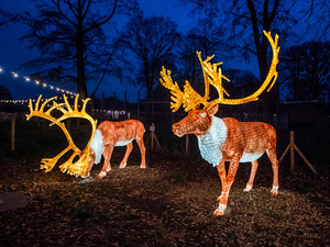 Китайские фонари в виде животных для украшения улиц, зоопарков и парков на фестивалях - Product Image 4