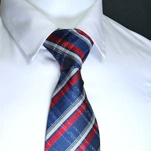 เนคไทไมโครซิลค์ลายตารางหมากรุกสีน้ำเงิน & แดงสำหรับผู้ชายเสื้อยืดของผู้ชายที่สง่างาม - Product Image 1