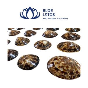 Conchas de limpias azules trituradas ecológicas, muy vendidas, material a granel para la creación de arte y manualidades con resina - Product Image 1