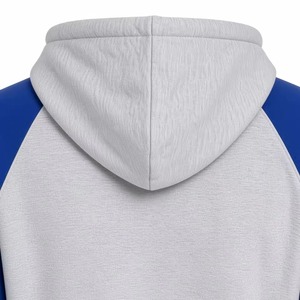 Vente en gros OEM Pull à capuche d'hiver en polaire bicolore gris-bleu à manches raglan, avec lettres grecques et poche kangourou, haute qualité - Product Image 6