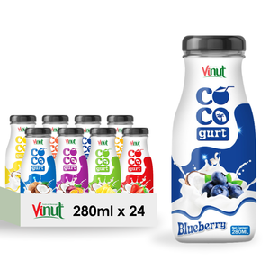Noix de coco yaourt myrtille 280ml 9.5 floz boisson au cocogurt 24 bouteilles carton OEM ODM marque privée échantillon gratuit halal casher - Product Image 1