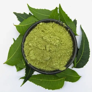 Poudre de feuilles de Neem de qualité supérieure, 100% pure et naturelle, poudre de feuilles d'Azadirachta Indica pour les soins naturels de la peau, des cheveux et du cuir chevelu - Product Image 2
