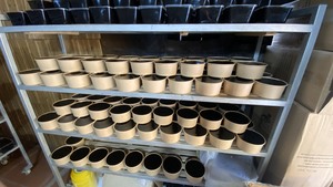 ผู้ผลิตเวียดนาม แบล็คกราสเจลลี่ ขนมหวานสมุนไพรเย็นสดชื่นจากธรรมชาติ ผู้จัดจำหน่ายขายส่ง ส่งออก - Product Image 2