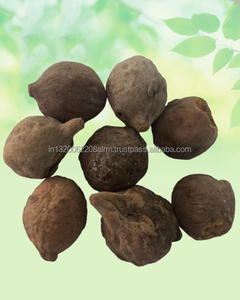 Termnalia Belerica Baheda Whole Bibhitaki Bahera With Seed Dried Raw Herbs Wholesale Plant <b>Extract</b> Herbal Product - Product Image 3