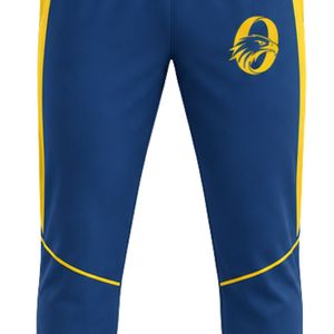 Men's Blue Yellow Cricket Pants Long Sports Trousers Team Match Uniform Outdoor Training Bottoms <b>Athletic</b> Sports Clothing - Product Image 5
