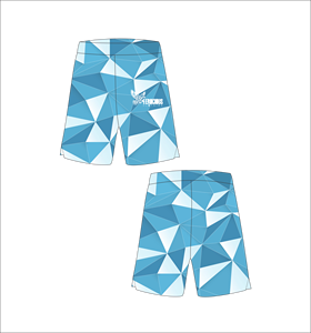 Shorts de bain décontractés pour hommes Ferocious Clothing à imprimé géométrique, séchage rapide, taille élastique, vente en gros, OEM personnalisé - Product Image 1