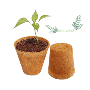 Maceta de Fibra de Coco para Plantas Verdes de Jardín - Macetas Biodegradables y Ecológicas de Coco de Eco2go Vietnam - Product Image 4