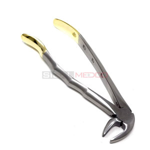 Pinzas Dentales de Extracción Dentadas MD3 para Incisivos Inferiores, Caninos, Bicánidos y Raíces, Calidad Premium, Mango Dorado - Product Image 3