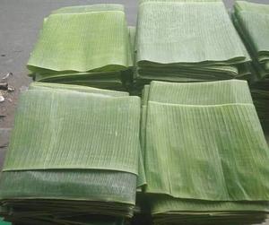 สินค้าขายดี |   ใบกล้วยแช่แข็ง IQF เกรด A บรรจุภัณฑ์สุญญากาศแบบแผ่น สำหรับห่ออาหารและปรุงอาหาร วันส่งท้ายปีเก่า - Product Image 3