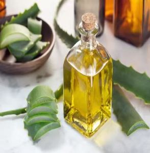 Aceite de extracto de aloe vera de alta calidad, suministro a granel para uso cosmético y cuidado de la piel, de proveedor indio al mejor precio. - Product Image 4