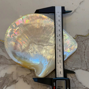 จานเปลือกหอยมุกขัดเงา งานฝีมือธรรมชาติ จานใส่ไข่ปลาคาเวียร์ ของขวัญสุดหรู ขายส่ง ส่งออก - Product Image 1