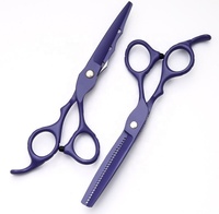 Ciseaux de coupe de cheveux de barbier en acier inoxydable enduits de poudre violette ensemble de deux avec étiquette personnalisée incluse