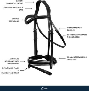 Brida de Cuero Marrón Premium para Caballo con Ribete Blanco, Diseño Moderno de Narquera Curva, Fabricación India, Precios al por Mayor Garantizados - Product Image 4