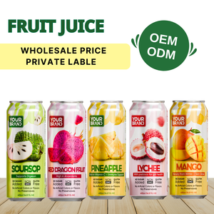 Jugo de Piña Saborizado en Lata de 500ml, Precio de Fábrica, Muestra Gratis, OEM/ODM, Marca Privada, Proveedor de Fábrica en Vietnam - Product Image 2