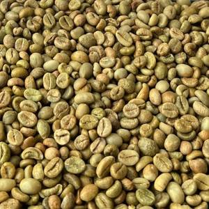 Granos de Café Verde Robusta de Vietnam, Origen Directo, Tamaño 16 AA+, Sabor Rico y Intenso, Grano de Café con Notas de Miel S16, S18, Suministro de Fábrica - Product Image 3