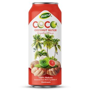 Agua de coco de 500ml de alta calidad, mayorista de bebidas saludables OEM, fabricante de Vietnam para jugos de frutas y verduras, principalmente puré - Product Image 6