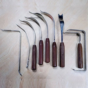 Conjunto Completo de Instrumentos Reutilizables para Artroplastia de Cadera en Cabras, Gatos y Cerdos - Cirugía Ortopédica de Reemplazo de Cadera - Product Image 3