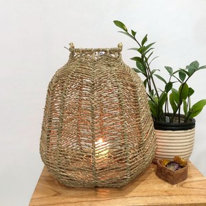 Lámparas y faroles de algas marinas para decoración, suministro de fábrica, lámpara de algas marinas a bajo costo. - Product Image 1