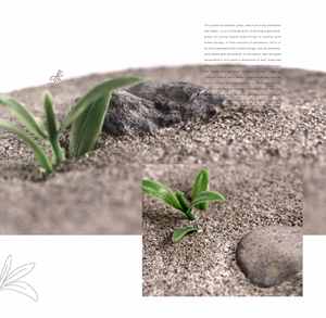 Ant Empire, zone d'alimentation verticale moyenne, nourrisseur pour fourmis de sable gris, accessoire d'habitat, acrylique, écologique, salon - Product Image 6