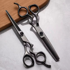Ciseaux à effiler professionnels en acier inoxydable de 6 pouces pour coiffeur, ciseaux de coupe de cheveux - Product Image 1